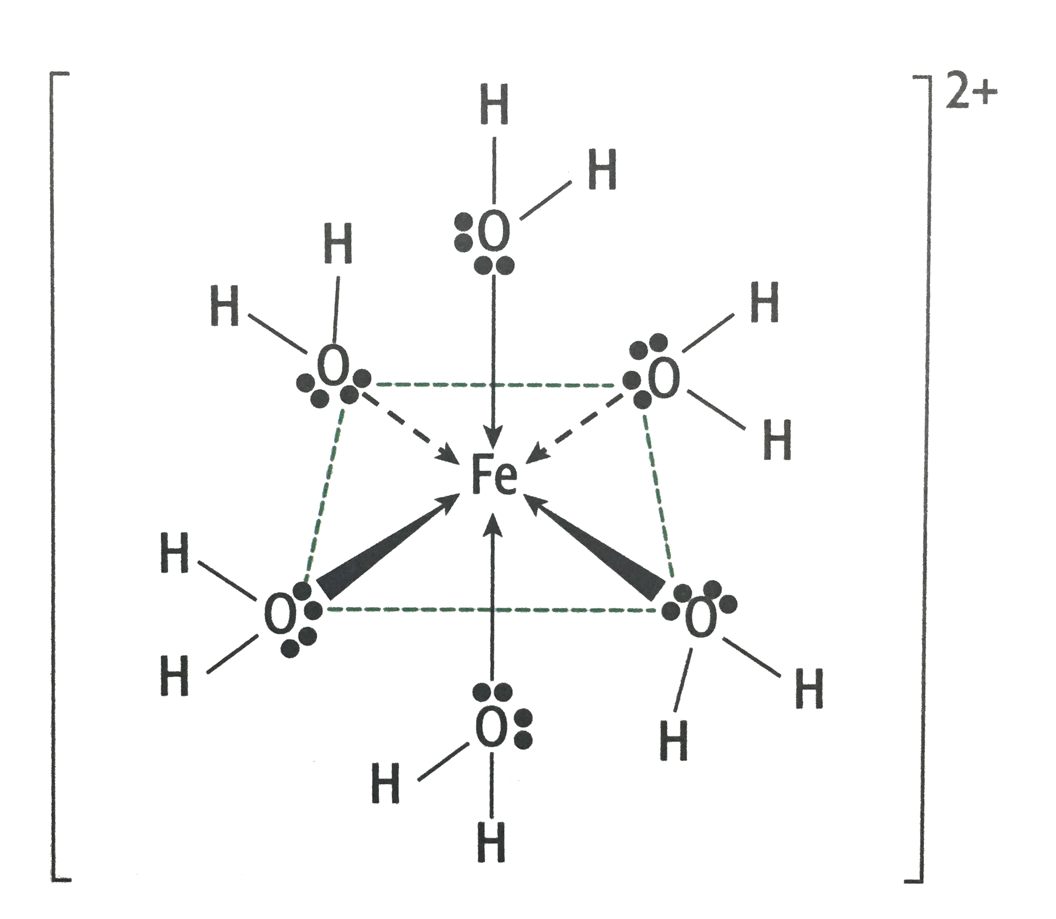 ZNotes | For Students. By Students.