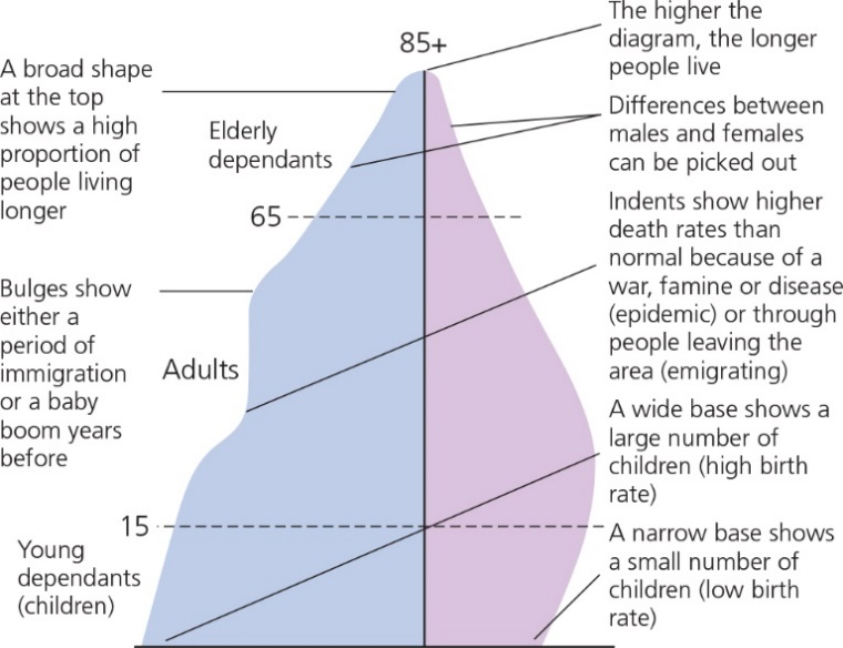 ZNotes For Students. By Students.