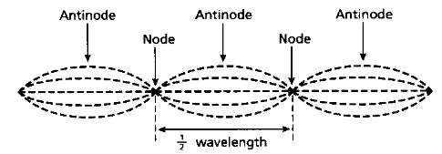 ZNotes | For Students. By Students.